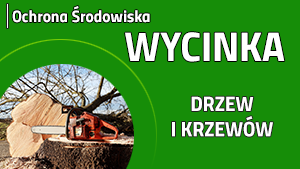 Zielone tło z białymi napisami Wycinka drzew i krzewów w lewym dolnym rogu ścięte drzewo i pień na którym stoi piła łańcuchowa