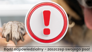 Wścieklizna - śmiertelne zagrożenie dla ludzi i zwierząt.