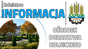 Zaproszenie na Kiermasz Jesienny