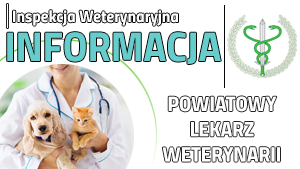 To jest przykładowy opis alternatywny obrazka.